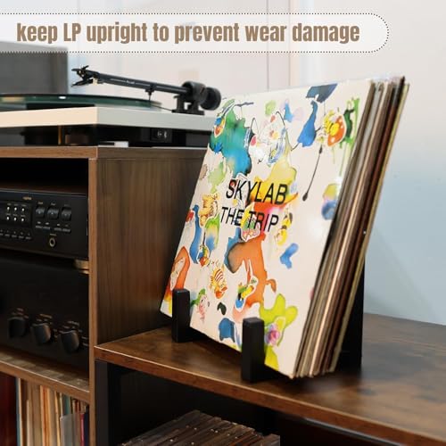 Vinyl Record Holder - 1 Piece Metal Display Stand for Albums