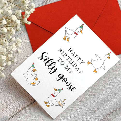 Funny Taco Birthday Card - Only Meat for My Taco | 8x5.3 Inch
