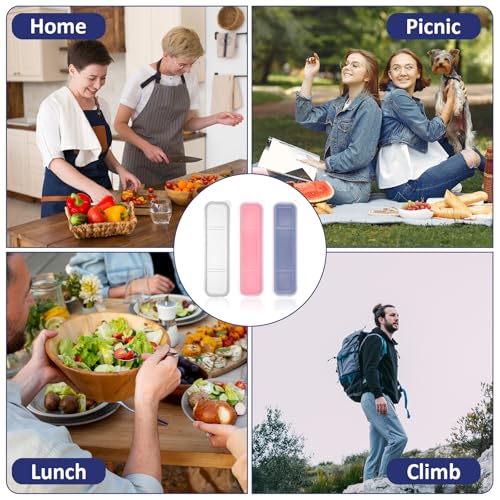 3PCS Portable Flatware Box Plastic, Simple Travel Tableware Storage Case, Reusable Utensil Container for Lunch Box for Cutlery Kit Pink, Blue,Transparent