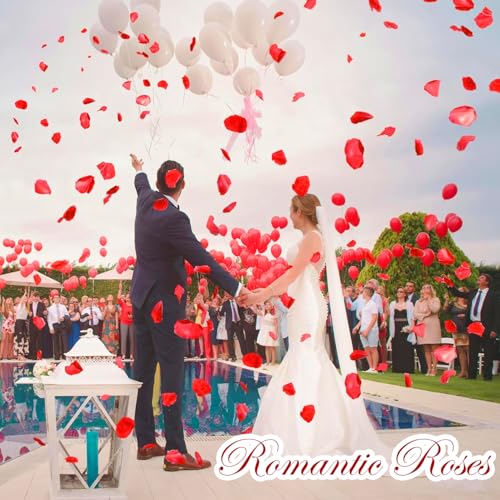 2400 Eco-Friendly Red Rose Petals for Weddings & Events