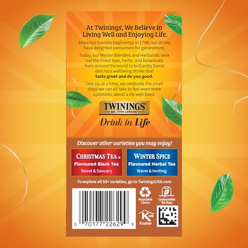Twinings Gingerbread Joy Holiday Black Tea Bags, 20 Count