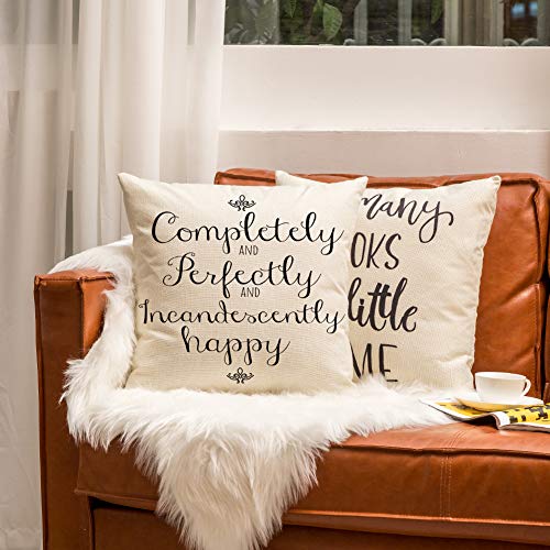 Completely and Perfectly and Incandescently Happy Pillow Cover - 18" x 18" Cotton Linen Cushion Case for Sofa & Couch