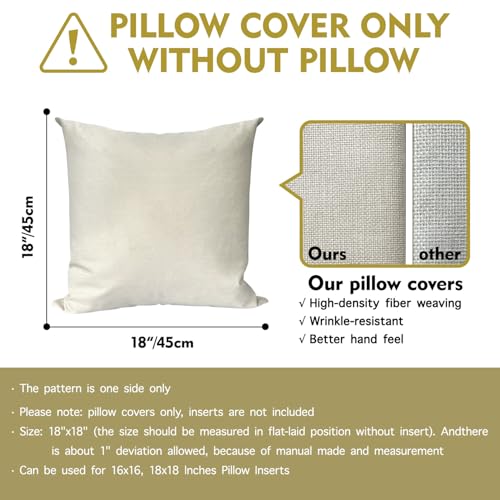 Coastal Throw Pillow Covers 18x18 Inch - Set of 2 Beach House Decor