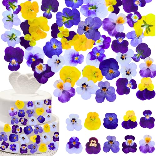 60 Pcs Dried Pressed Edible Viola Flowers Set for DIY Crafts