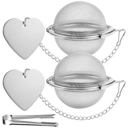 Stainless Steel Tea Infuser 2 Pack – Fine Mesh Loose Leaf Tea Strainers with Bonus Scoop