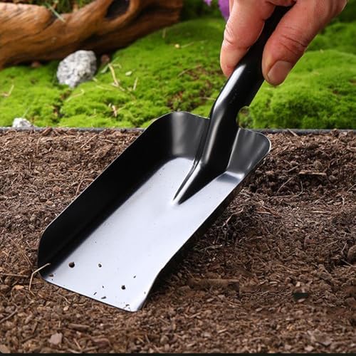 TAISOCA 12-Inch Stainless Steel Ash Shovel for Fireplace and Grill
