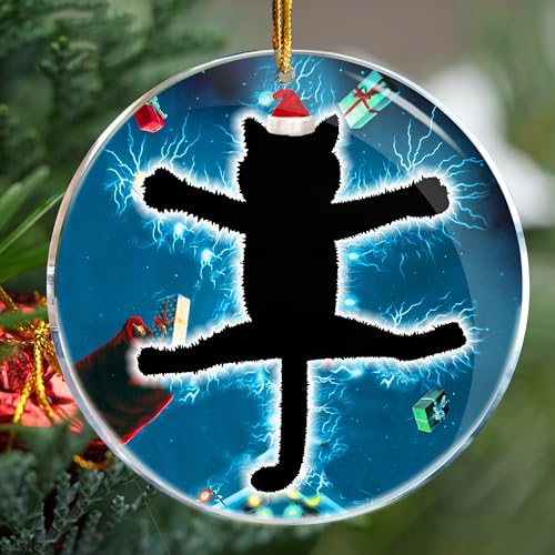 Christmas Ornament Set - Fried Cat Holiday Decorations for Tree & Home