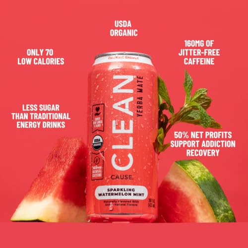 Clean Cause Organic Sparkling Watermelon Mint Yerba Mate - 16 oz
