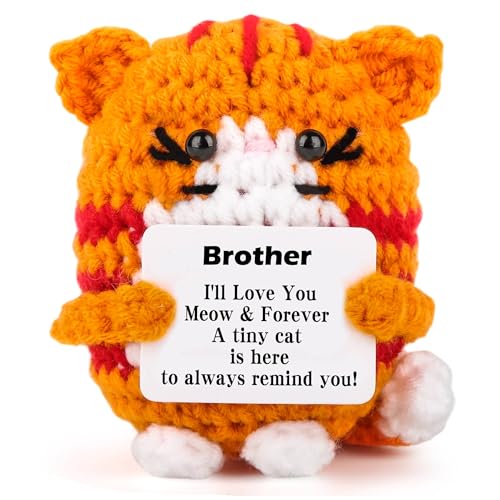 Brother Gift Handmade Crochet Cat Funny Birthday Gift for Brother - Unique Sibling Keepsake