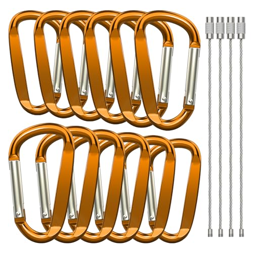 3" Aluminum Carabiner Clips, 12PCS D Ring Shape Keychain Carabiners Hook Buckle