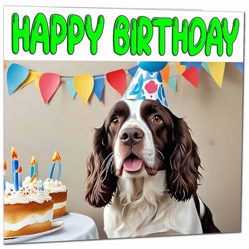 English Springer Spaniel Birthday Card - Fun Dog Greeting Card