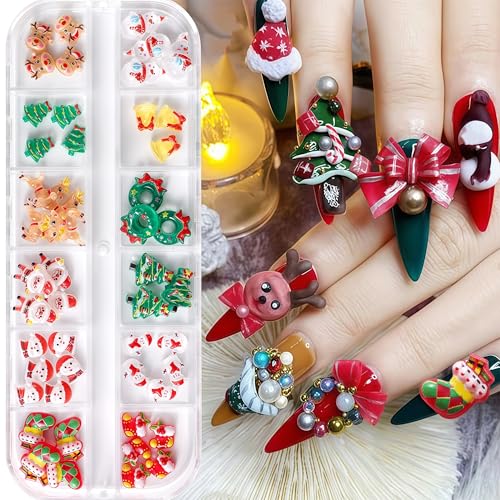 Christmas Nail Art Charms 12-Grid 3D Resin Rhinestones Set