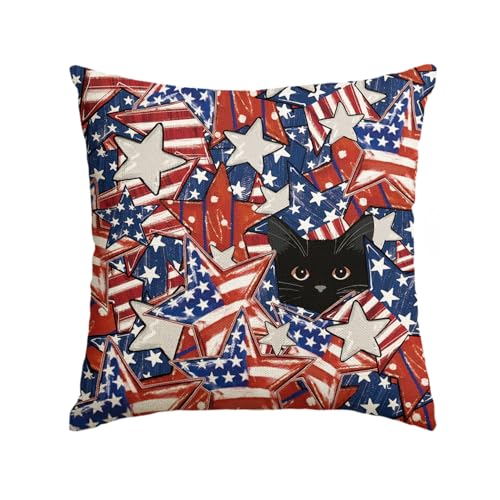 AVOIN Colorlife 4th of July Patriotic Stars Pillow Cover 18x18