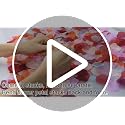 1000pcs Artificial Silk Rose Petals for Weddings & Events