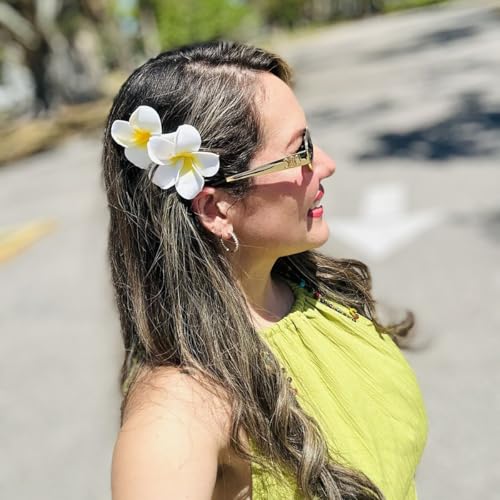 BluOcnMkt 4Pcs Hawaiian Plumeria Flower Hair Clips - Pink & White Beach Accessories