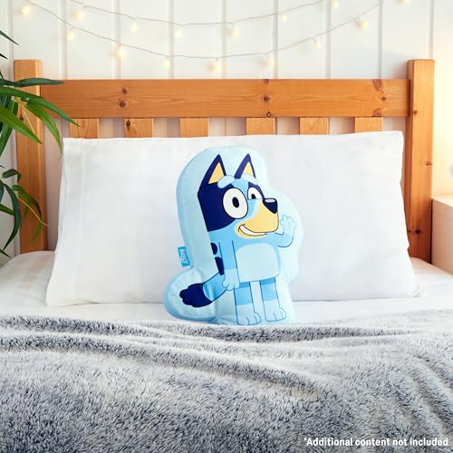 Bluey 3D Plush Pillow for Kids - Soft Cuddle Sham & Gift