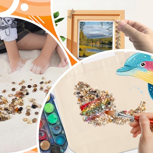 1200 Mini Seashells Set with Starfish for Crafting & Decor