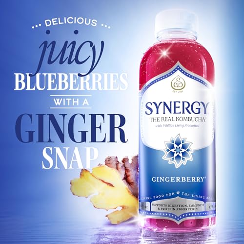 SYNERGY Gingerberry Kombucha - 16 fl oz Raw Probiotic Drink