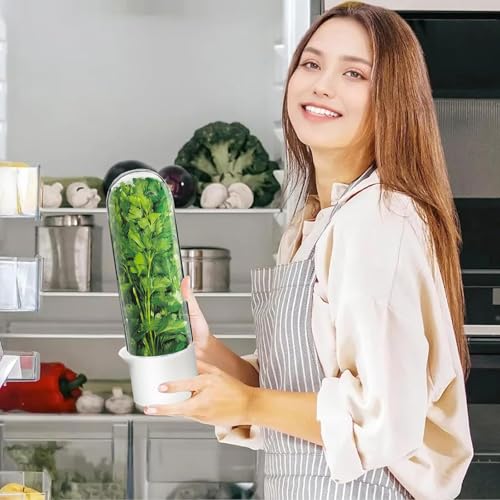 Herb Saver for Refrigerator - Fresh Herb Keeper Container for Cilantro, Parsley, Mint, Asparagus