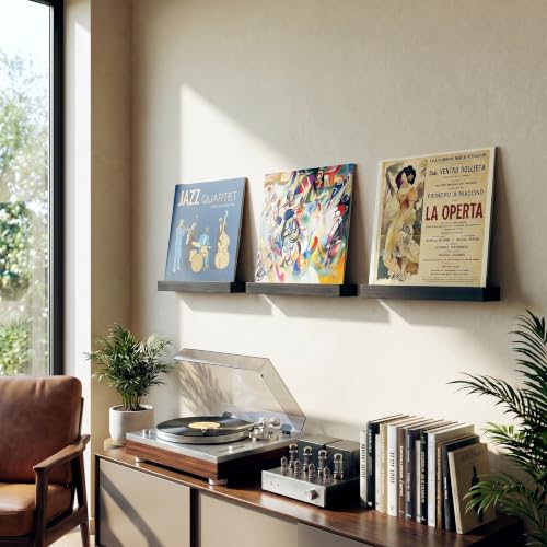 Heimlove Wall Mount Vinyl Record Shelf - Solid Wood Display, Black