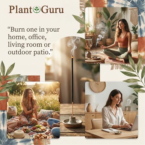 Plant Guru Japanese Cherry Blossom Incense Sticks, 11-Inch, 185g Bundle