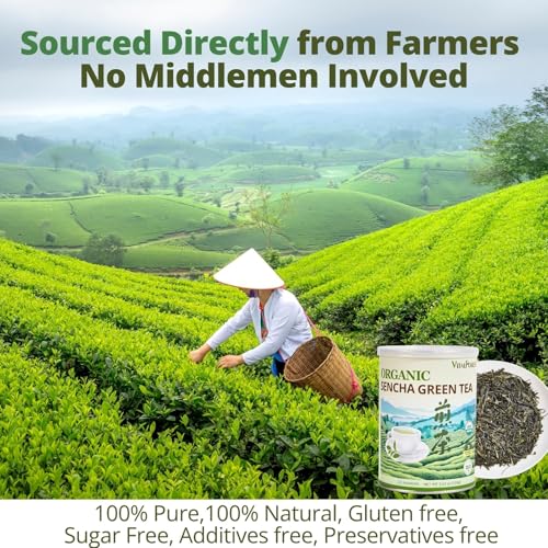 Organic Sencha Green Tea Loose Leaf – 100g, USDA Certified, Mild Umami Flavor