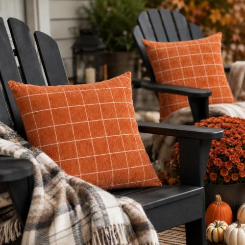 Auomily Fall Pumpkin Chenille Pillow Covers, 18x18, Set of 2, Orange