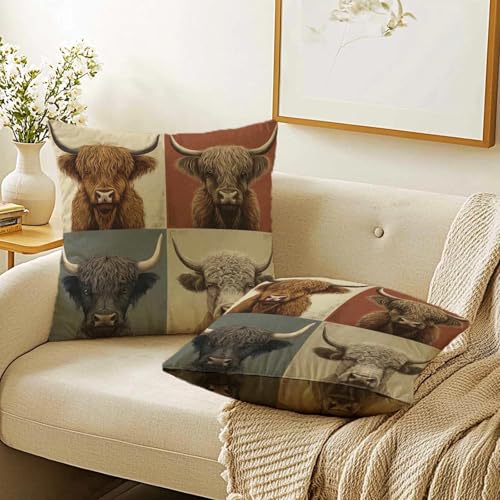 Highland Cow Throw Pillow Covers 18x18, Set of 2 Rustic Farmhouse Decor