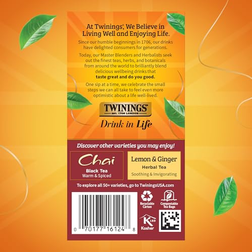 Twinings Spiced Apple Chai Black Tea Bags, 20 Count (6 Pack)