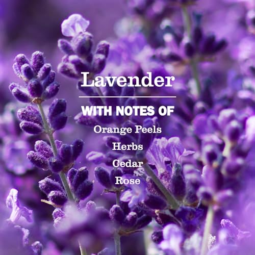 Mrs. Meyer's Lavender Liquid Hand Soap 12.5 Fl Oz