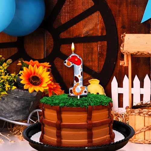 MTLEE Cowboy Number 1 Birthday Candle - First Birthday Decoration