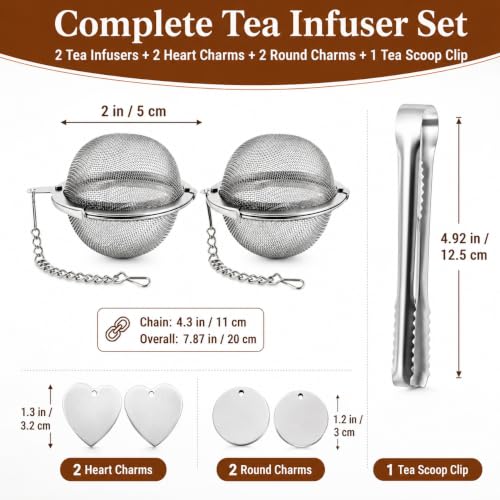 Stainless Steel Tea Infuser 2-Pack - Extra Fine Mesh Strainer & Scoop Clip
