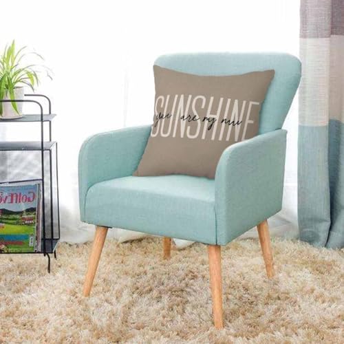 AOYEGO Multi-a294 You Are My Sunshine Throw Pillow Cover 18x18 Inch Inspirational Quote Cushion Case for Home Decor