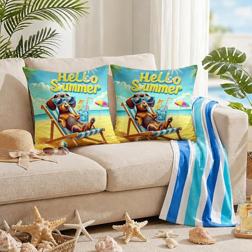 Summer Dachshund Beach Chair Throw Pillow Covers - Set of 2, 18x18
