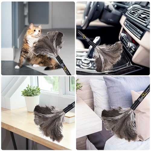 Aldwin 16-Inch Retractable Ostrich Feather Duster - 1 Pack