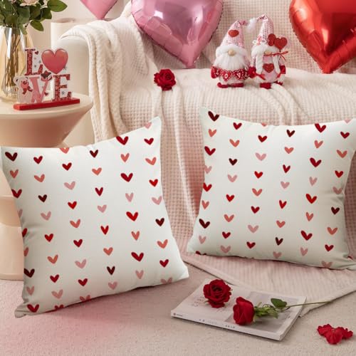 RABUSOFA Beige Valentine's Day Pillow Covers 18x18 Inch Set of 2