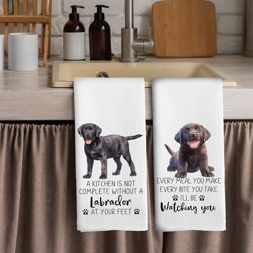 Labrador Kitchen Towels Set of 2 - Decorative Dish Towels 16x24