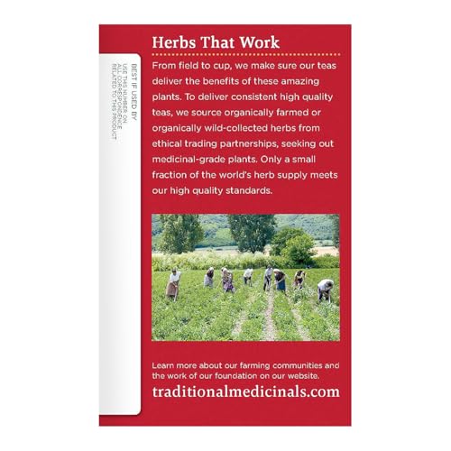 Traditional Medicinals Breathe Easy Seasonal Herbal Tea Pack of 2 - 16 Tea Bags Each - Respiratory Support, Organic, Caffeine-Free