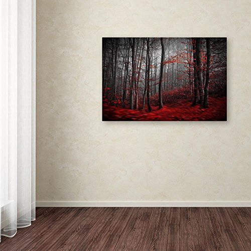 Trademark Fine Art 1X00238-C1219GG Canvas Art, 12 in x 19 in