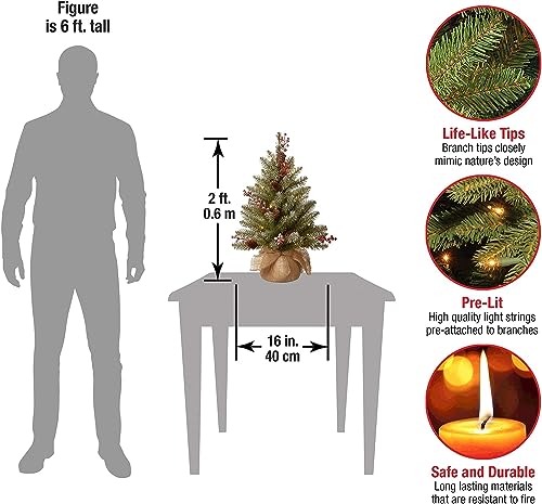 2ft Pre-Lit Artificial Christmas Tree with Flocked Branches and LED Lights