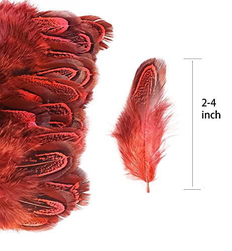 Natural Pheasant Plumage Feathers - 50 pcs, 2-3 Inches, Red