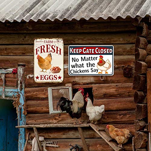 Farm Fresh Eggs Metal Sign - 8x12 Retro Wall Decor