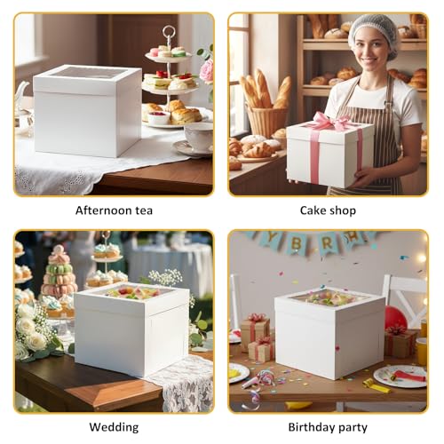 Moretoes 3 Pack 12x12x10 Cake Boxes with Boards & Window