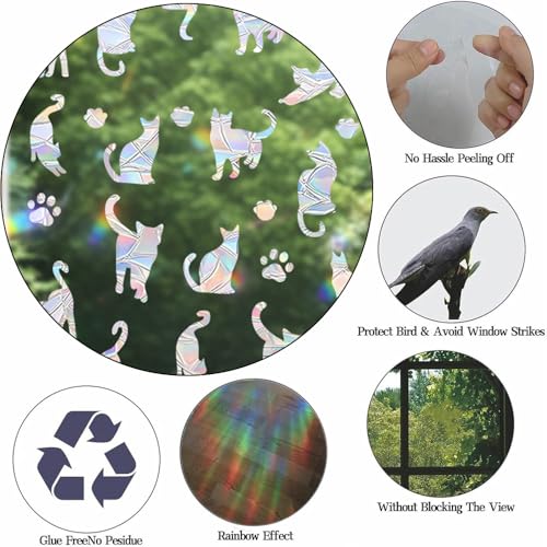 Reusable Hummingbird Window Clings to Prevent Bird Strikes