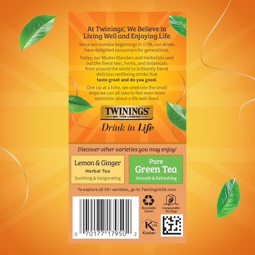 Twinings Orange & Cinnamon Spice Herbal Tea Bags - 120 Count