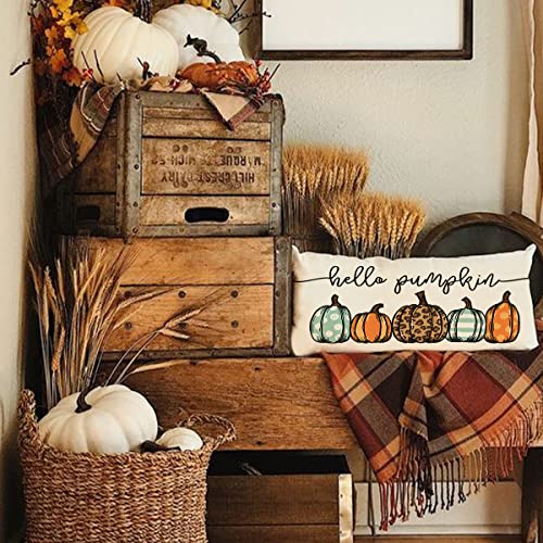 Fall Lumbar Pillow Cover Hello Pumpkin Autumn Decorative Throw Pillow