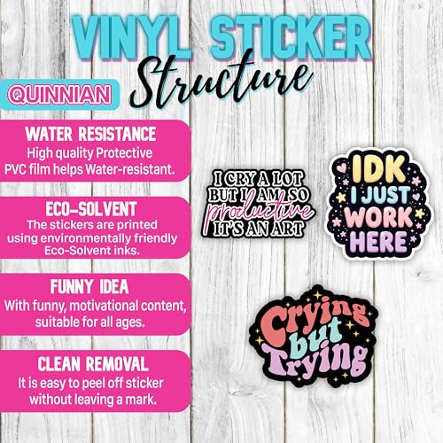 Funny Waterproof Vinyl Stickers - 3 Pcs Office Humor Decals