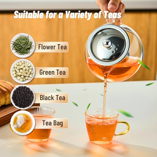 Baalaka 22 oz Glass Teapot with Removable Stainless Steel Infuser