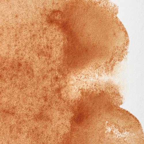 Winsor & Newton Professional Watercolor 14ml Tube - Brown Ochre