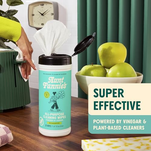 Aunt Fannie's Eucalyptus Cleaning Vinegar Wipes - 35 Count